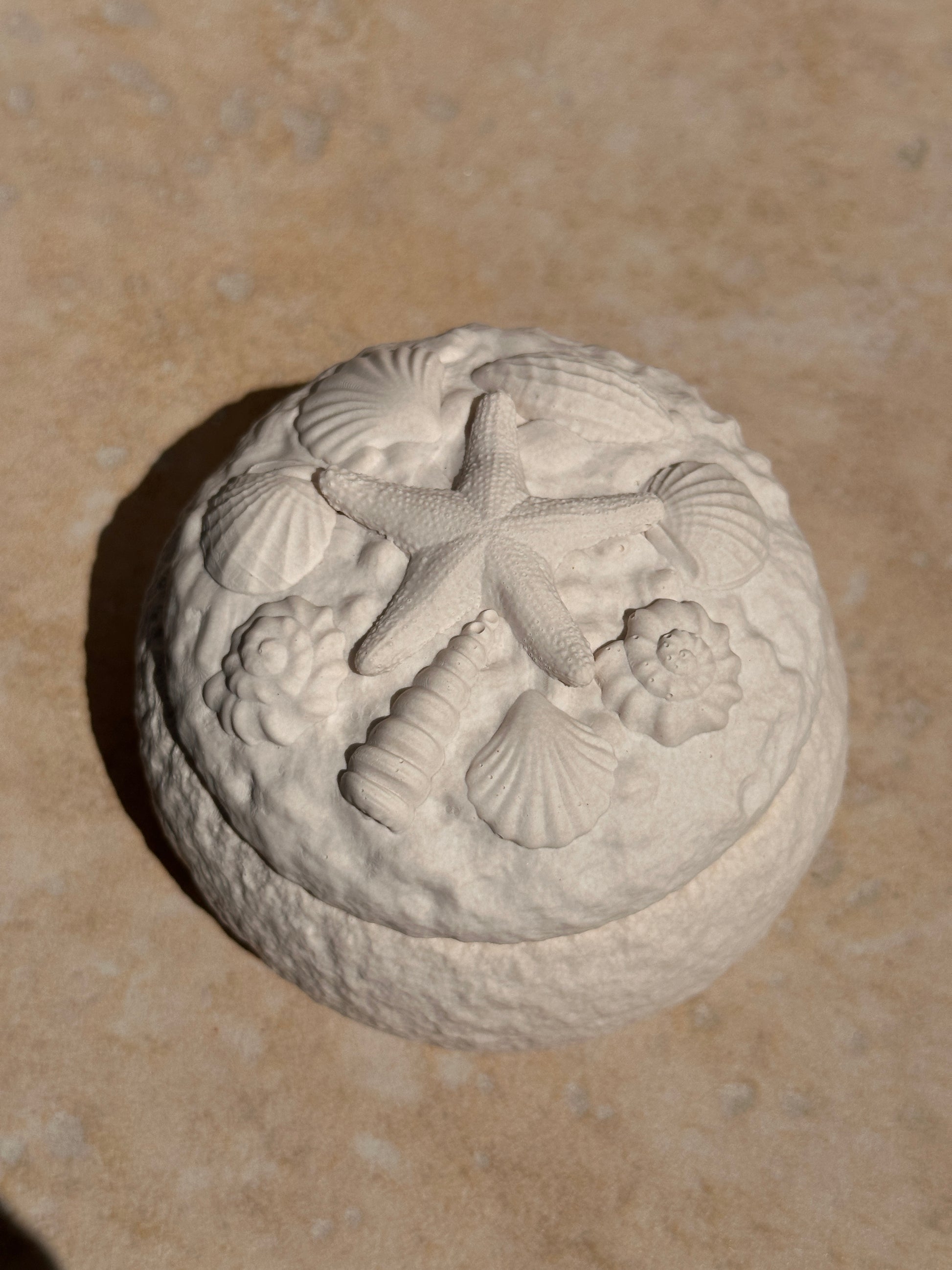 Calypso relief coquillages pot