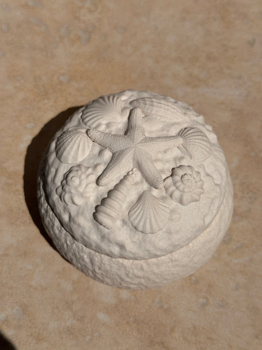Calypso relief coquillages pot