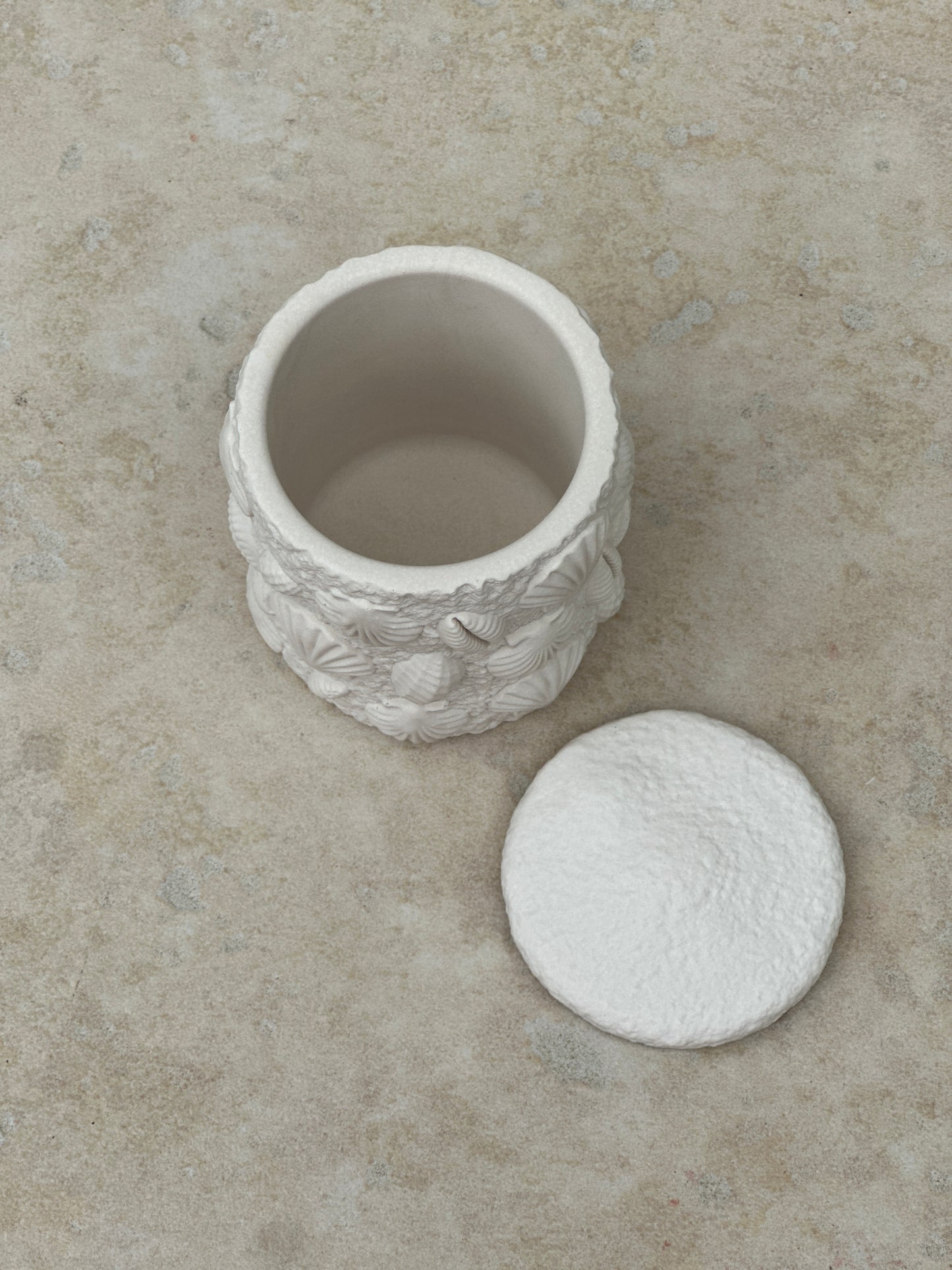 Coralie pot coquillages